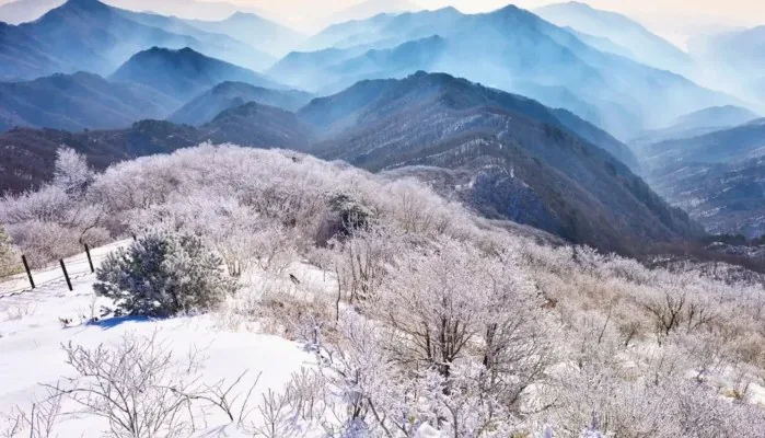소백산 겨울 / 사진=단양군 공식 블로그