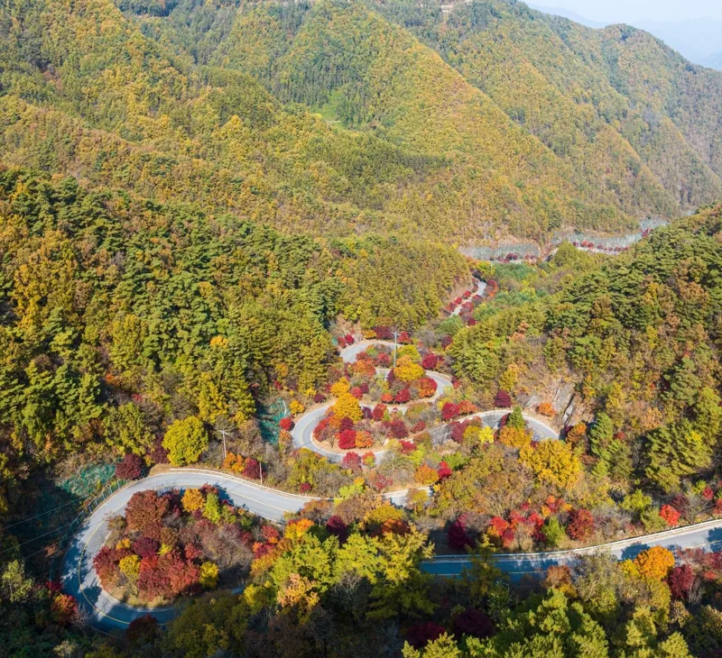 단양 보발재