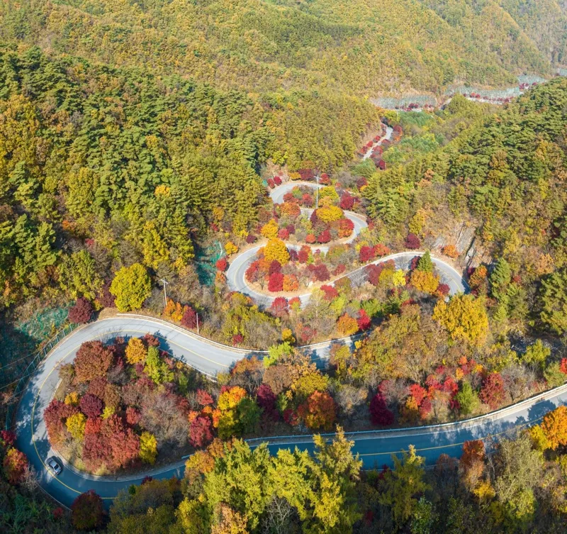 단양 보발재
