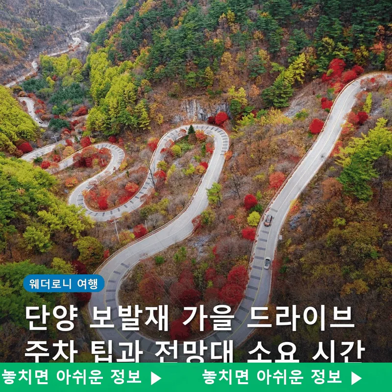 단양 보발재 가을 드라이브 주차 팁과 전망대 소요 시간