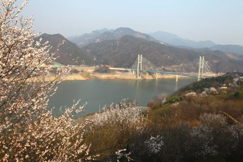 청풍문화재단지