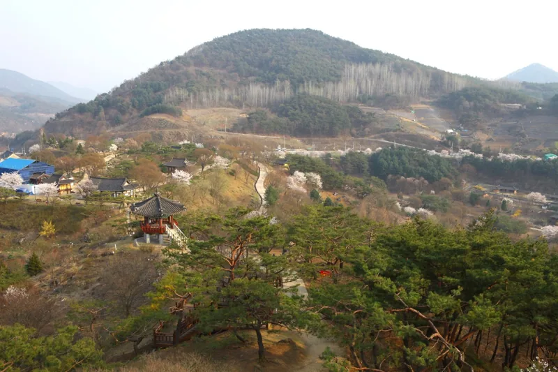청풍문화재단지