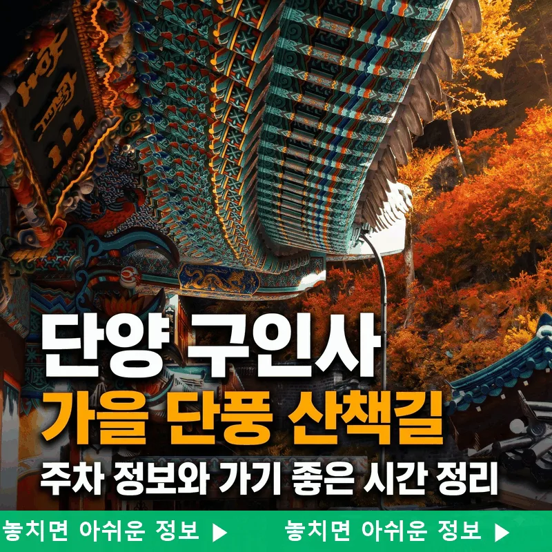 단양 구인사 가을 단풍 산책길, 주차 정보와 가기 좋은 시간 정리