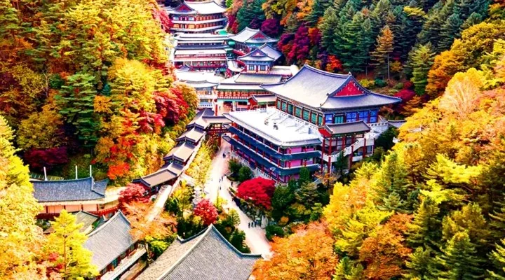 가을의 구인사 / 사진=단양관광