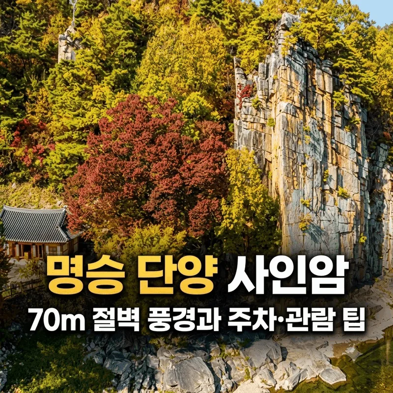 명승 단양 사인암, 70m 절벽 풍경과 주차·관람 팁