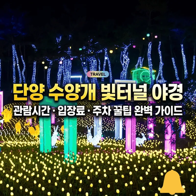 단양 수양개빛터널 야경 시간과 입장료, 주차 팁까지 완벽 정리