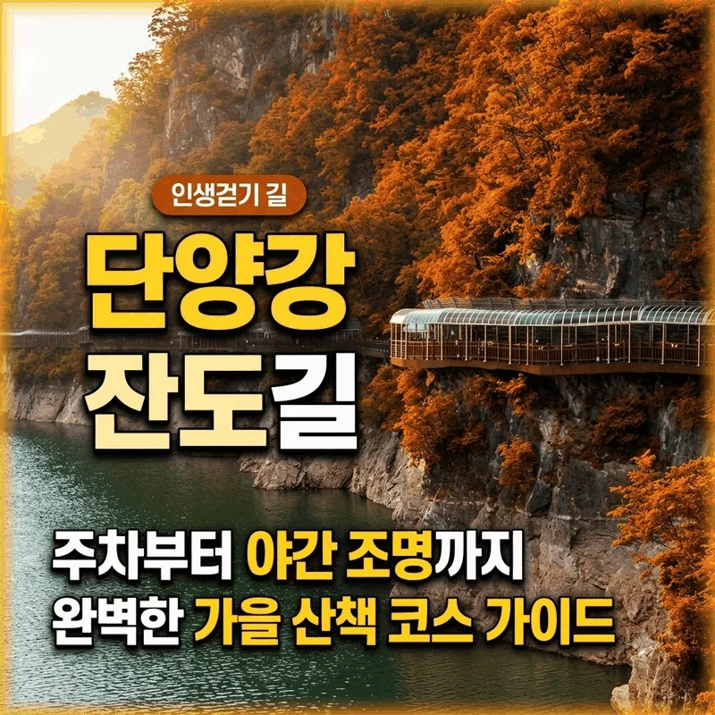 단양강 잔도 주차부터 야간 조명까지 완벽한 가을 산책 가이드