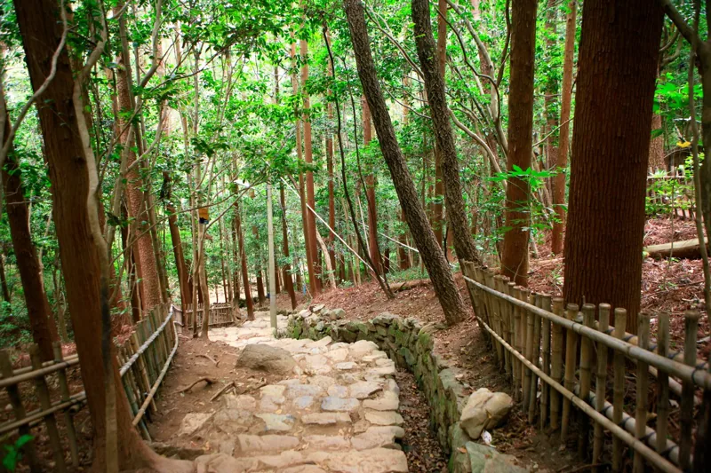 다산초당