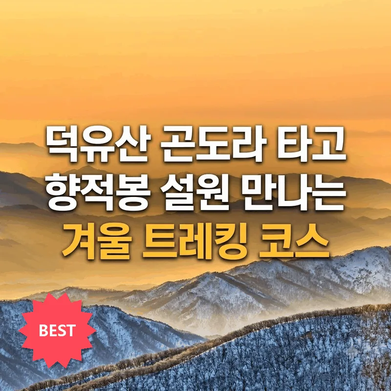 덕유산 곤도라 타고 향적봉 설원 만나는 겨울 트레킹 코스
