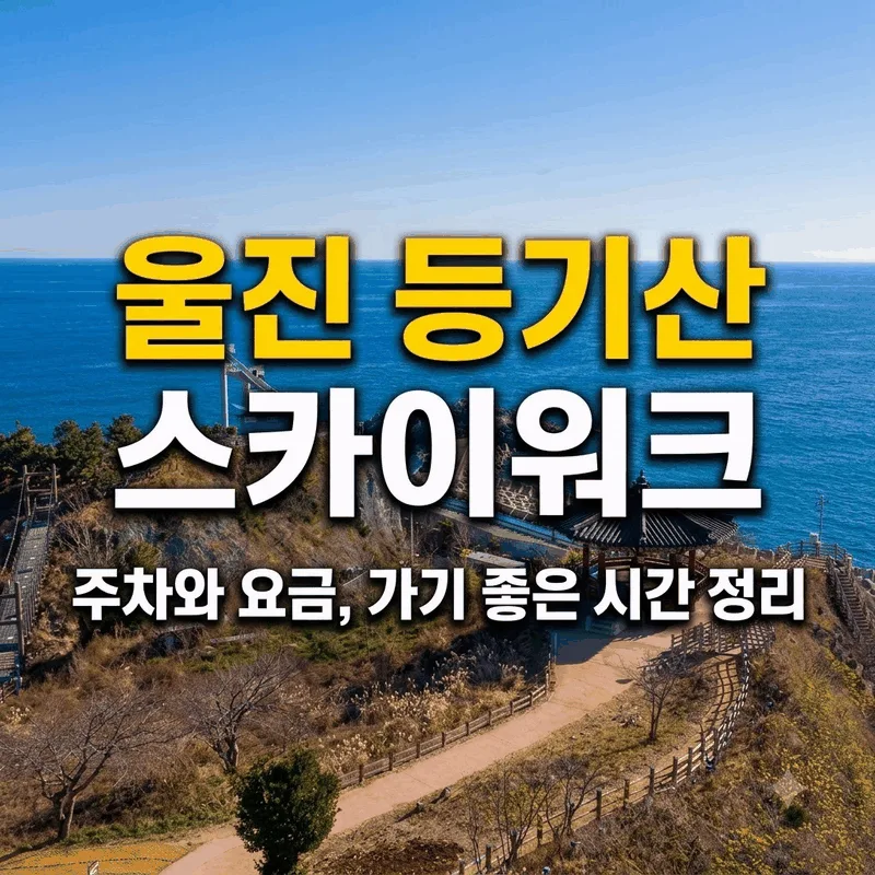 울진 등기산 스카이워크 주차와 요금, 가기 좋은 시간 정리