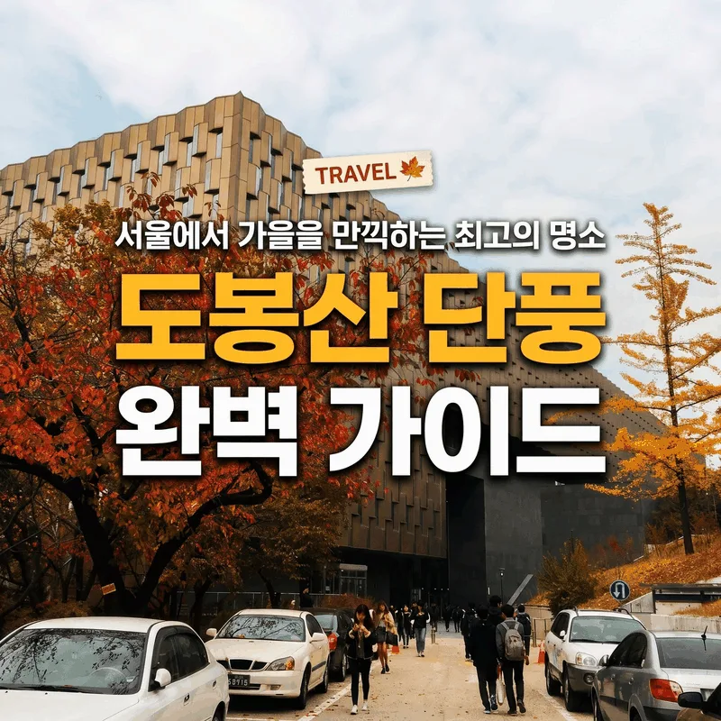 서울에서 만나는 가을의 아름다움을 경험할 수 있는 최고의 명소 도봉산 단풍 완벽 가이드