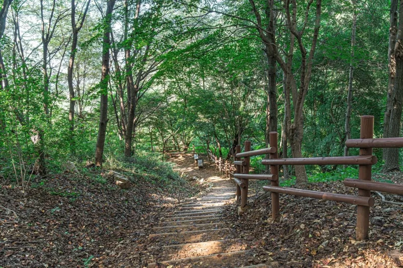 도덕산 출렁다리