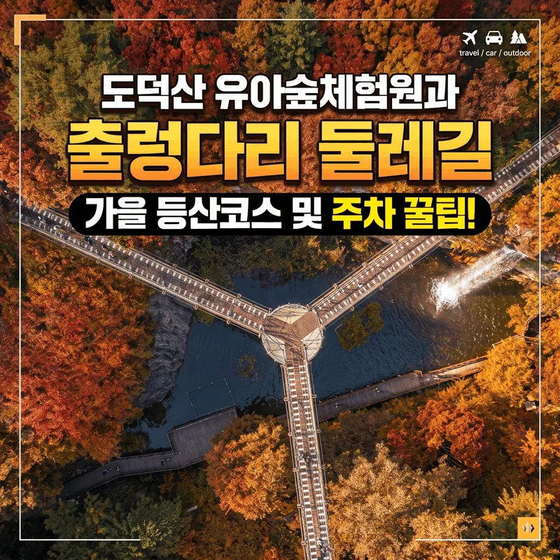 도덕산 유아숲체험원 및 출렁다리 산책로 가을 등산 코스와 주차 팁