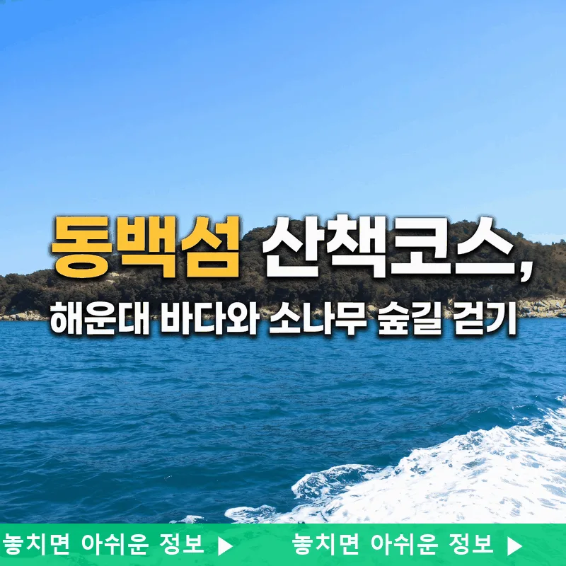 동백섬 산책 코스, 해운대 바다와 소나무 숲길 걷기