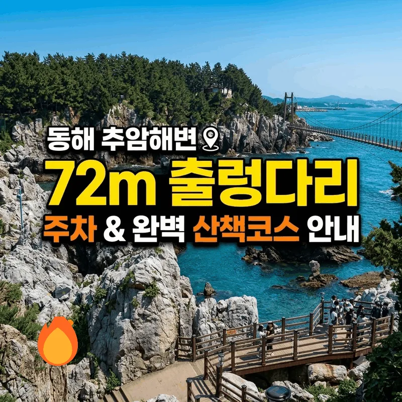 동해 추암해변 주차와 72m 출렁다리 완벽 산책 코스 정보