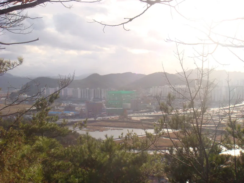 도솔산에서 내려다본 가수원동 풍경