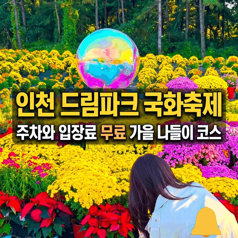 인천 드림파크 국화축제 주차와 입장료 무료 가을 나들이 코스