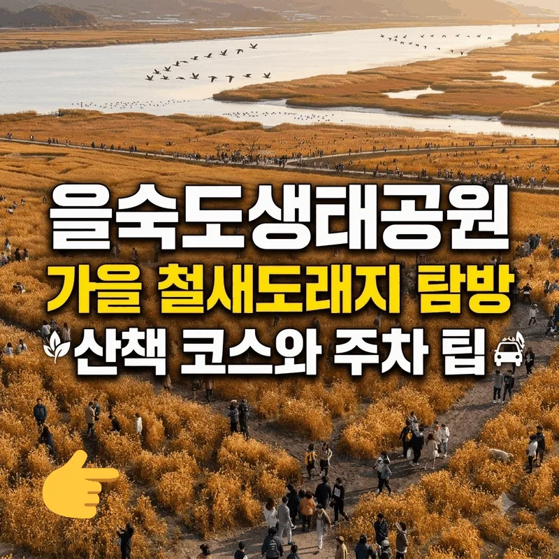 을숙도생태공원 가을 철새도래지 탐방 산책 코스와 주차 팁