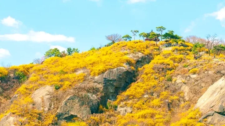 응봉산 / 사진=서울관광재단