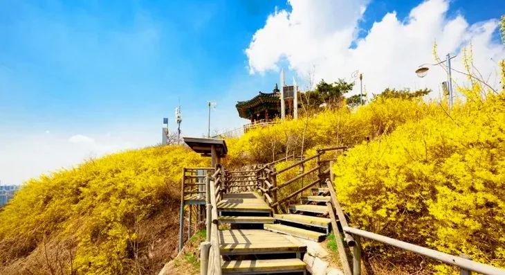 응봉산 팔각정 / 사진=게티이미지뱅크