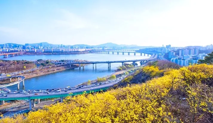 응봉산 조망 / 사진=서울관광재단
