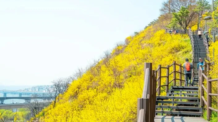 응봉산 등산로 / 사진=게티이미지뱅크