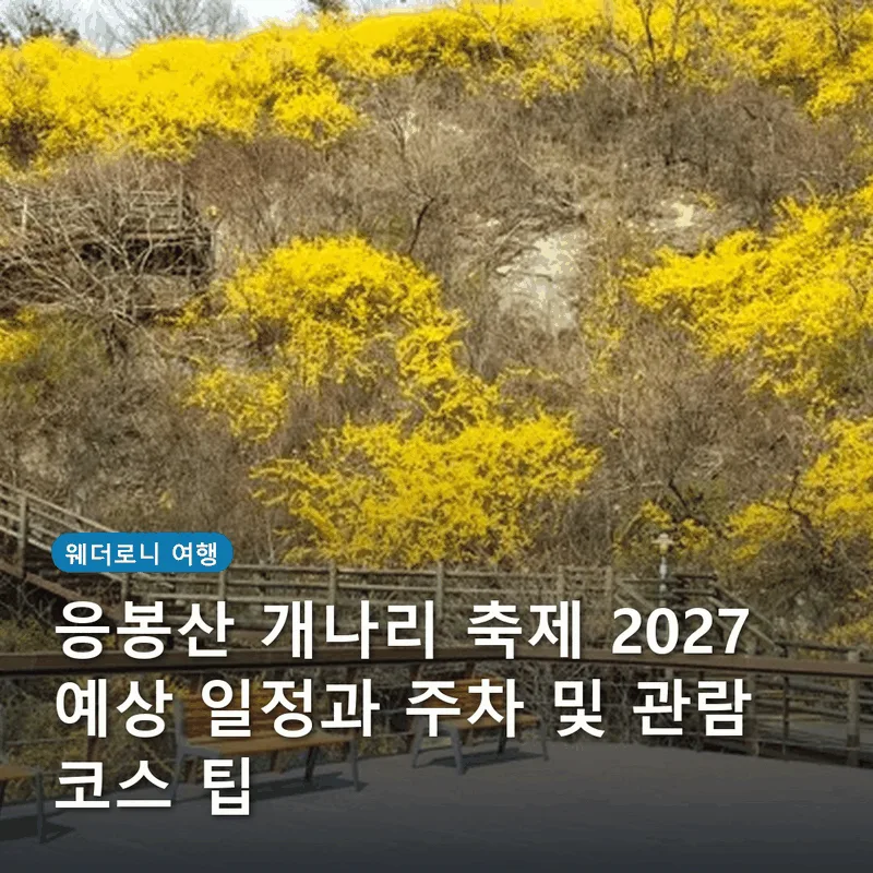 응봉산 개나리 축제 2027 예상 일정과 주차 및 관람 코스 팁