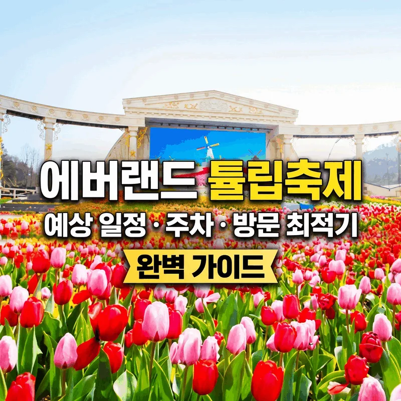 에버랜드 튤립축제 예상 일정과 주차 및 가기 좋은 시간 완벽 안내