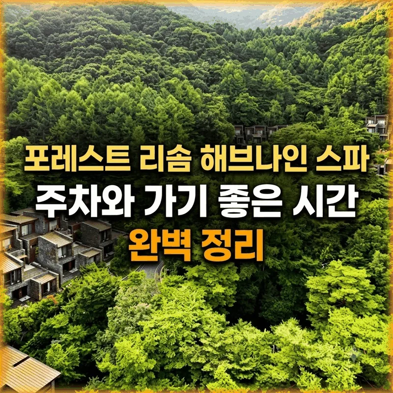 포레스트 리솜 해브나인 스파 주차와 가기 좋은 시간 완벽 정리