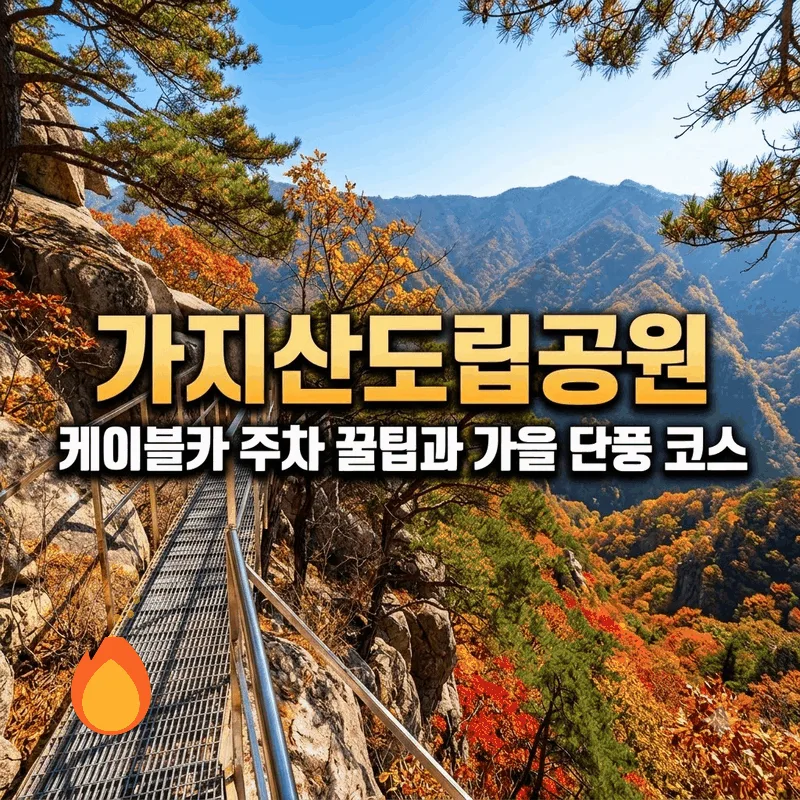 가지산도립공원 케이블카 주차 꿀팁과 가을 단풍 코스