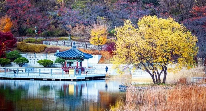 북서울꿈의숲 월영지 / 사진= 서울특별시 공식 블로그