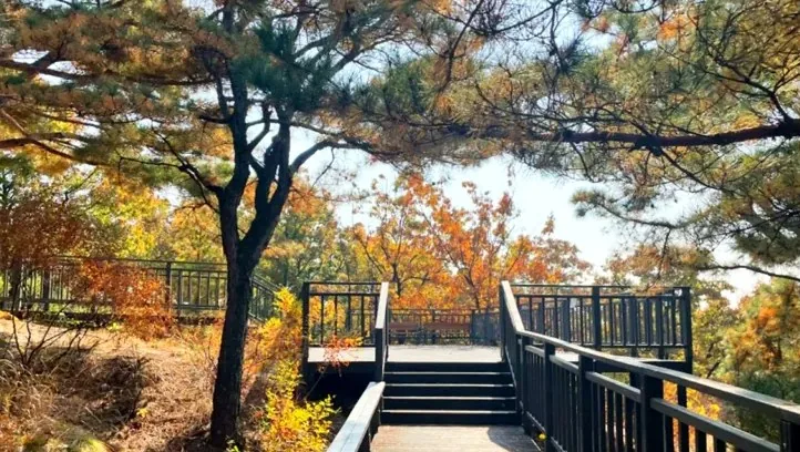 북서울숲 둘레길 / 사진= 서울특별시 공식 블로그