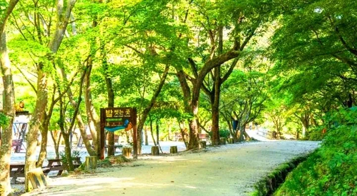 강천산군립공원 경관 / 사진=한국관광콘텐츠랩