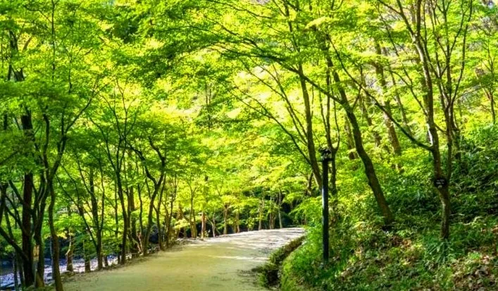 강천산군립공원 산책로 / 사진=한국관광콘텐츠랩