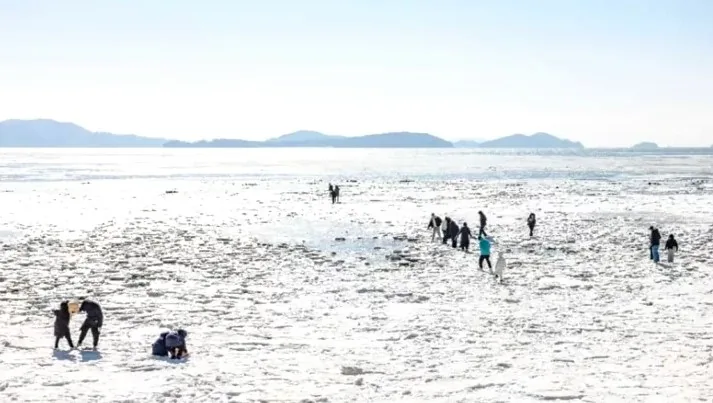 동막해변 모습 / 사진=한국관광콘텐츠랩