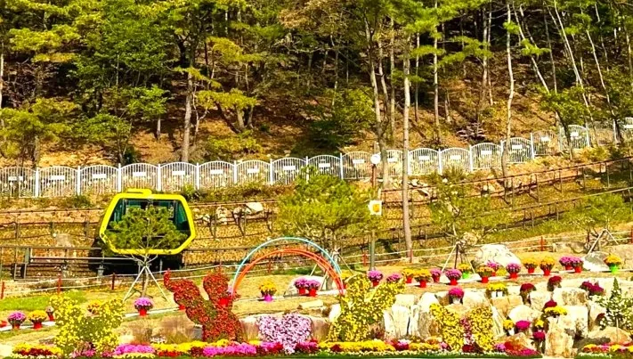 화개정원 모노레일 모습 / 사진=강화 공식 블로그
