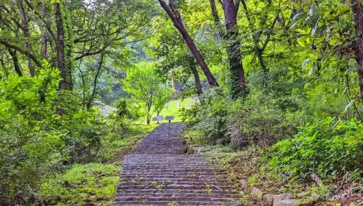 홍릉으로 가는 길 / 사진=한국관광콘텐츠랩