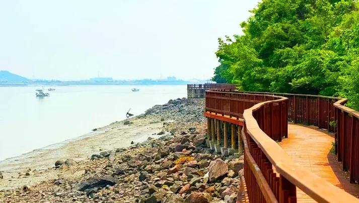 황산도 해안탐방로 모습 / 사진=강화군 공식 블로그 전현수