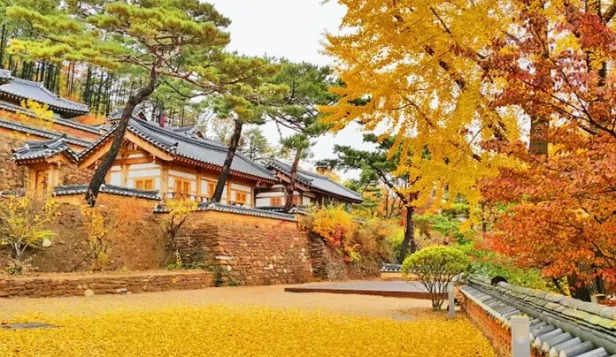 전등사 가을 풍경 / 사진=전등사