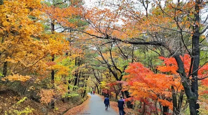 전등사 산책로 / 사진=전등사