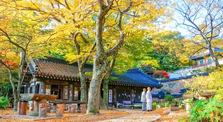 전등사 죽림다원 / 사진=전등사
