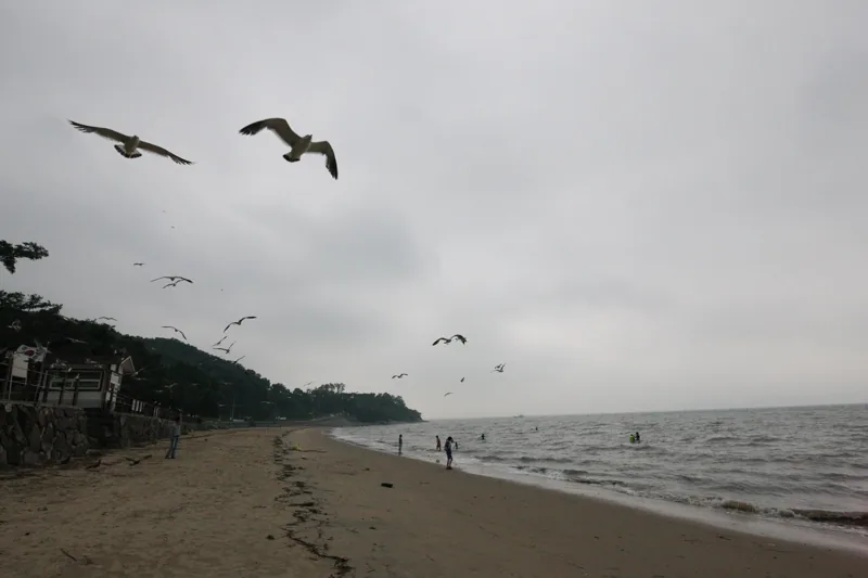 동막해수욕장