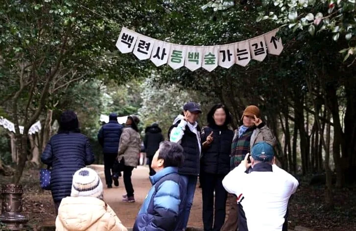 백련사 동백축제 / 사진=강진문화관광