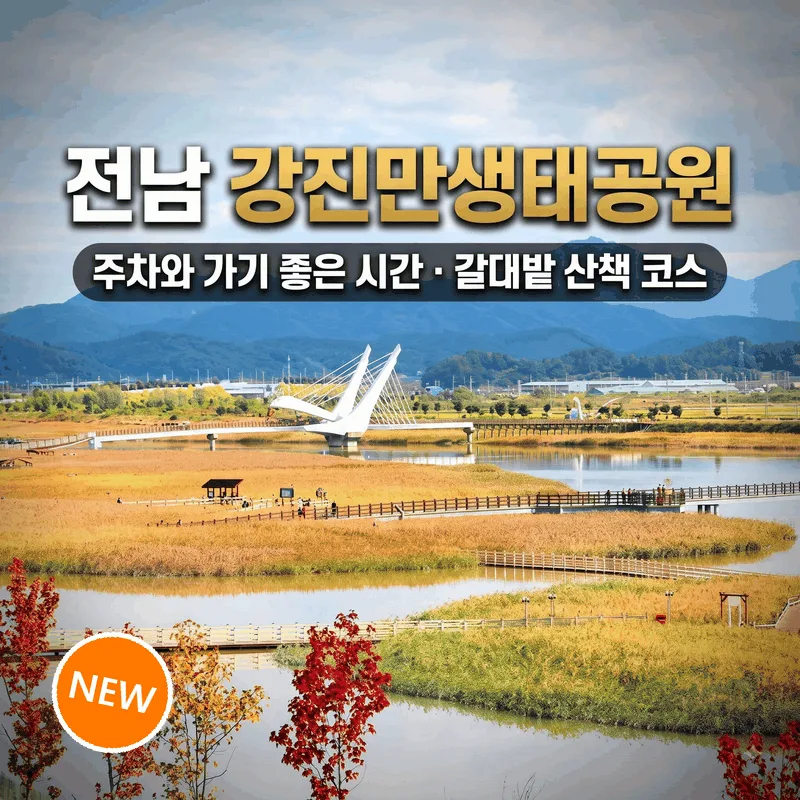 전남 강진만생태공원 주차와 가기 좋은 시간 갈대밭 산책 코스