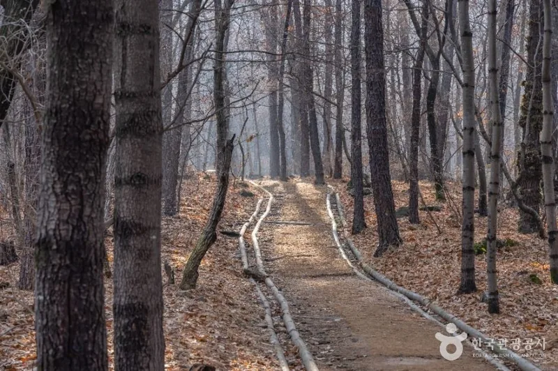 대모산도시자연공원