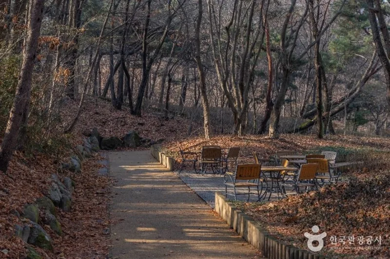 대모산도시자연공원