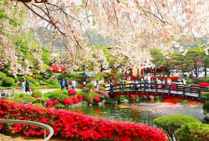 베어트리파크 화사한 봄 / 사진=공공누리 세종 베어트리파크 이재헌