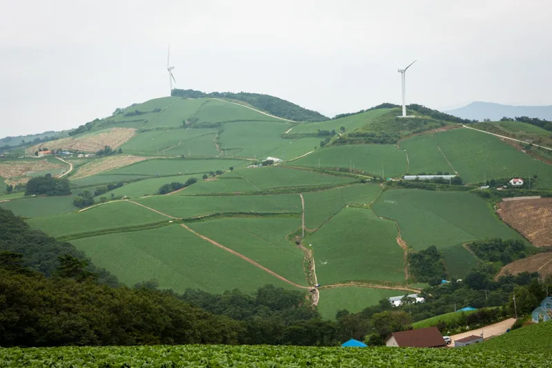 안반데기