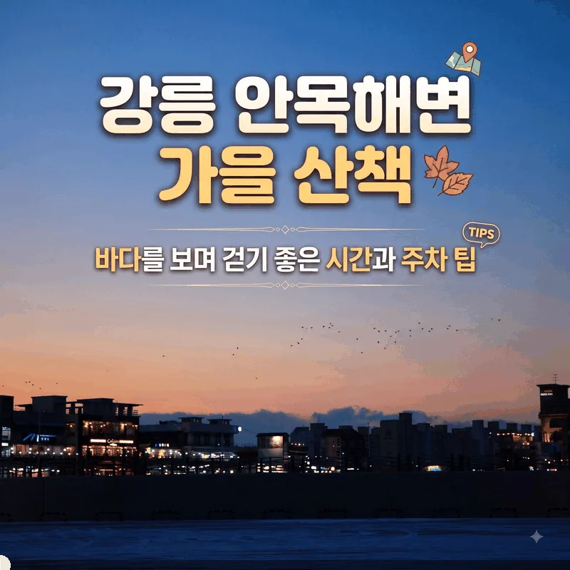 강릉 안목해변 가을 산책, 바다를 보며 걷기 좋은 시간과 주차 팁