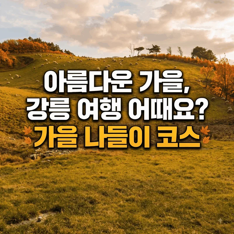 여행 가기 좋은 가을에 강릉으로 떠나보는 것은 어떨까요 가을 나들이 코스
